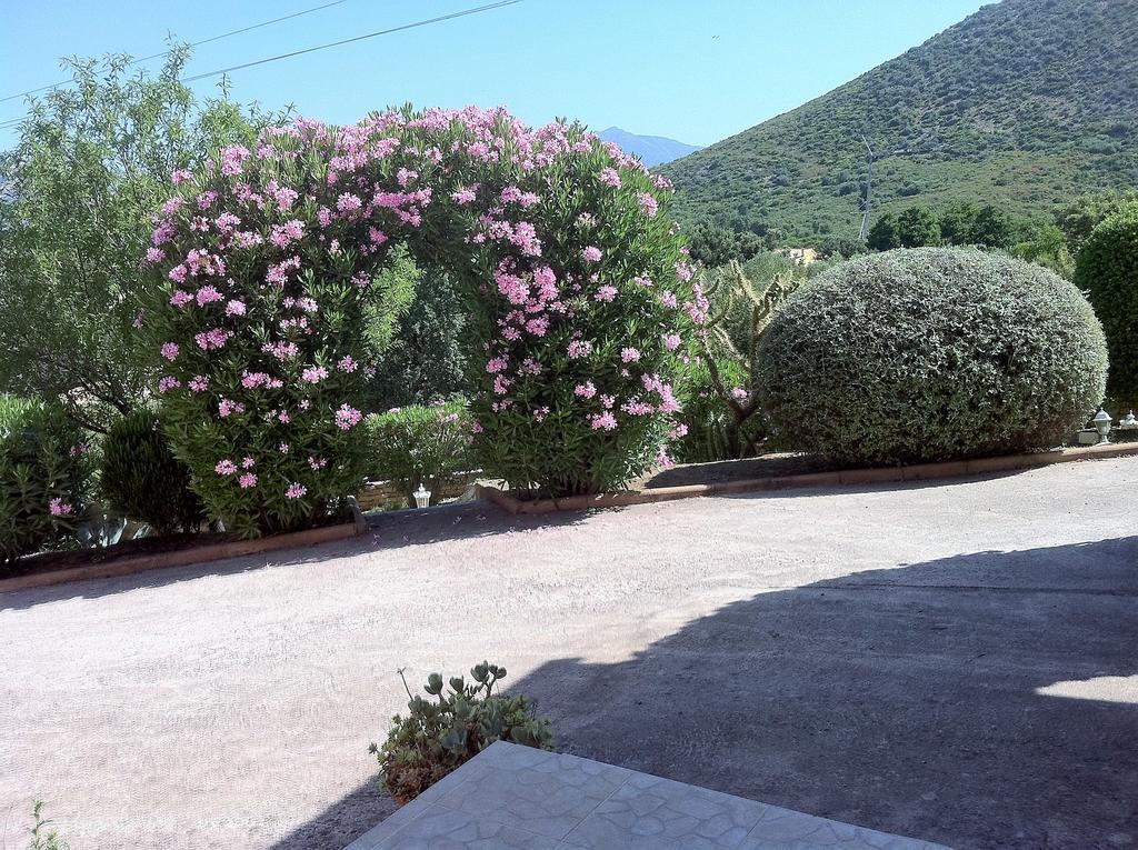 Villa Elofred Saint-Florent  Exterior photo